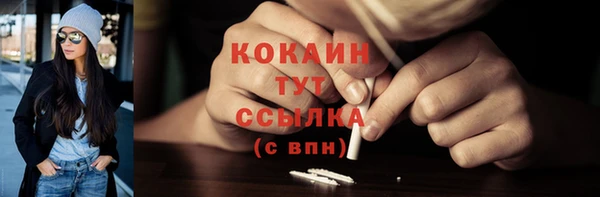 стаф Вяземский
