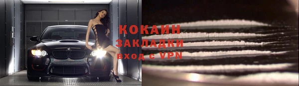 стаф Вяземский