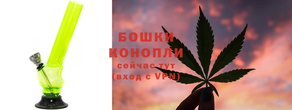 тгк Гусь-Хрустальный