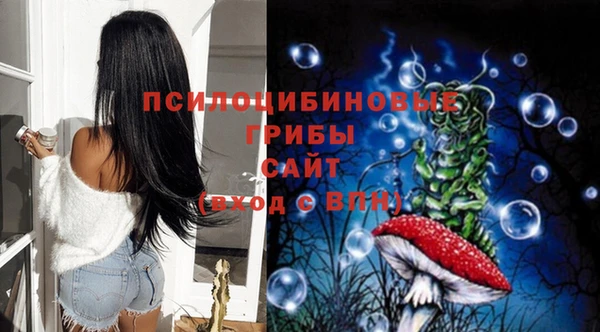 стаф Вяземский