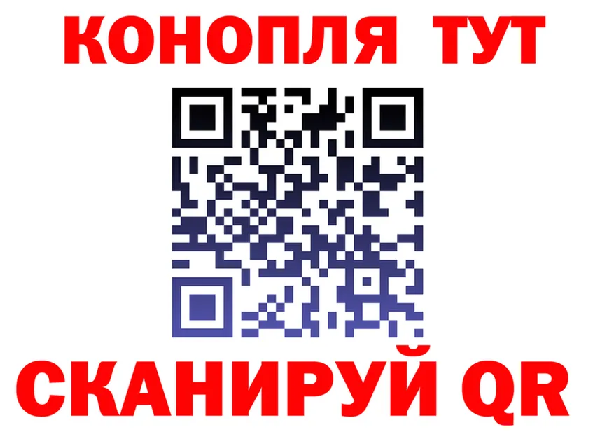 А ПВП СК ССЫЛКА площадка МЕГА Жиздра