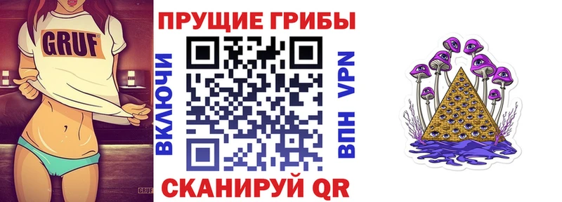 Псилоцибиновые грибы Cubensis Жиздра